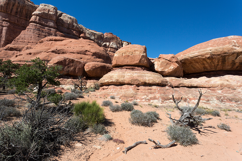 10-11 - 03.jpg - Canyonlands National Park, Needles District